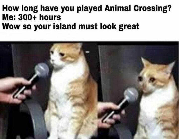 "How long have you played Animal Crossing? Me: 300+ hours. Wow, so your island must look great."