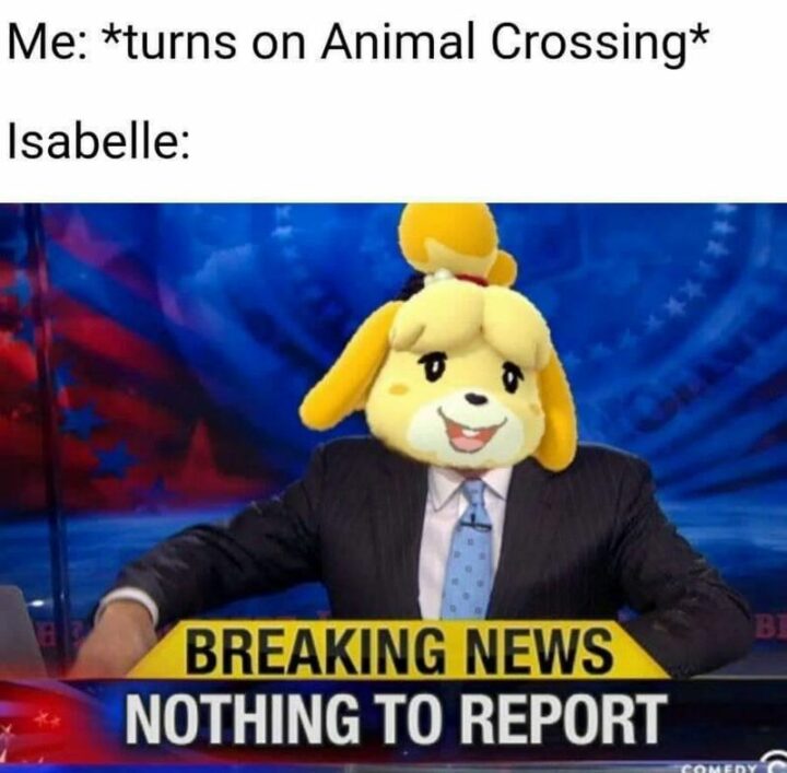 "Me: *turns on Animal Crossing* Isabelle: Breaking News. Nothing to report."