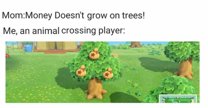 "Mom: Money doesn't grow on trees! Me, an Animal Crossing player:"