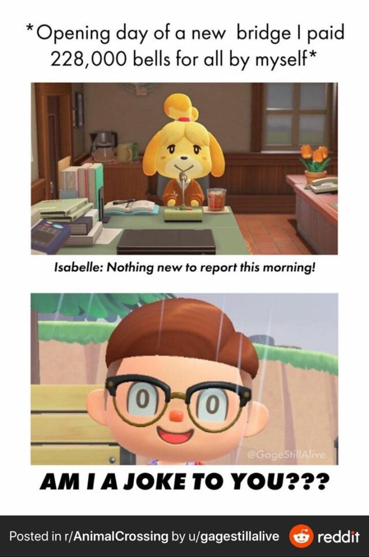 "*Opening day of a new bridge I paid 228,000 bells for all by myself* Isabelle: Nothing new to report this morning! Am I a joke to you???"