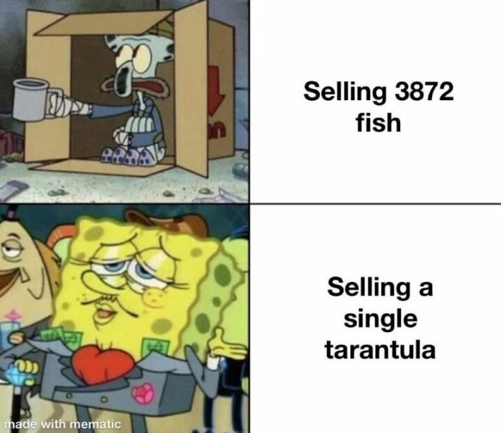 "Selling 3872 fish. Selling a single tarantula."
