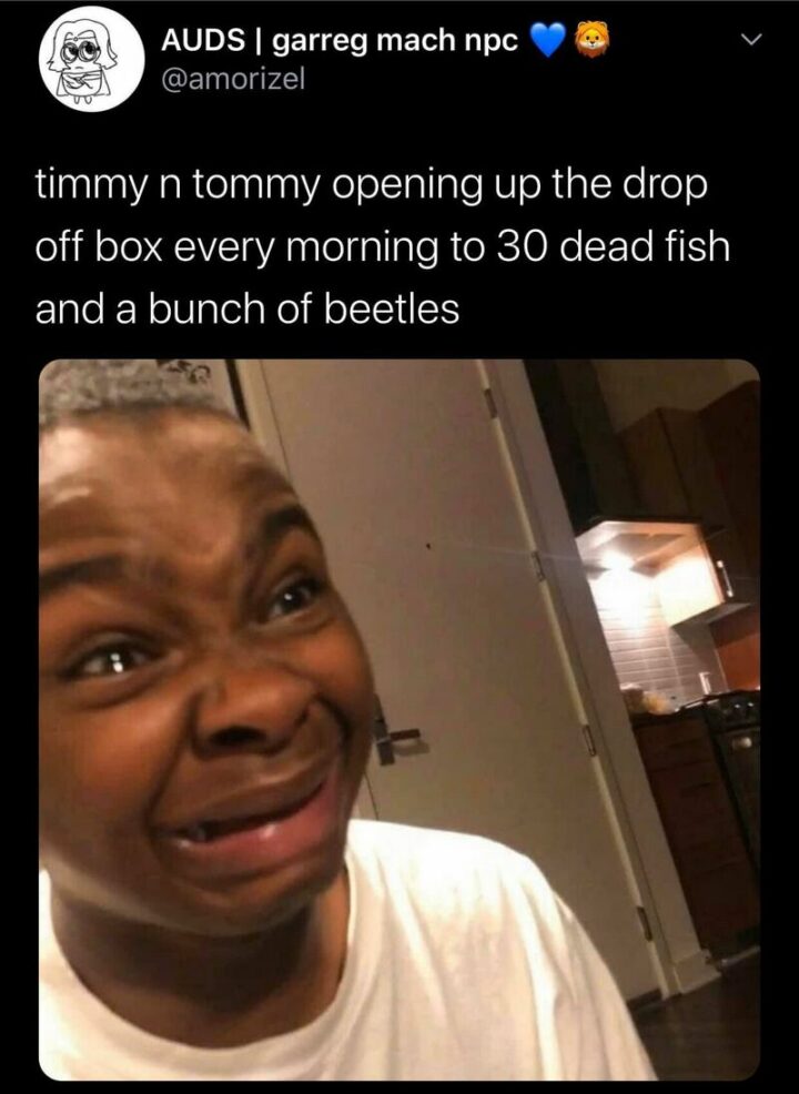 "Timmy and Tommy opening up the drop-off box every morning to 30 dead fish and a bunch of beetles."