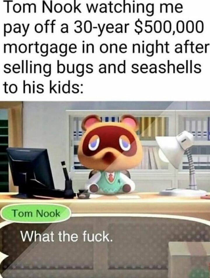 "Tom Nook watching me pay off a 30-year $500,000 mortgage in one night after selling bugs and seashells to his kids. Tom Nook: What the [censored]."