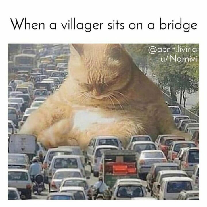 "When a villager sits on a bridge."