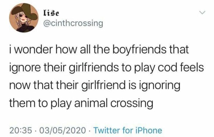 "I wonder how all the boyfriends that ignore their girlfriends to play Call of Duty feel now that their girlfriend is ignoring them to play Animal Crossing.