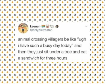 71 Funny Animal Crossing Memes