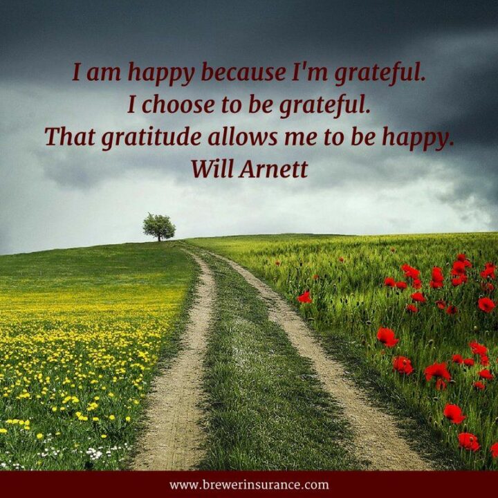 51 Appreciation Quotes - "I am happy because I’m grateful. I choose to be grateful. That gratitude allows me to be happy." - Will Arnett