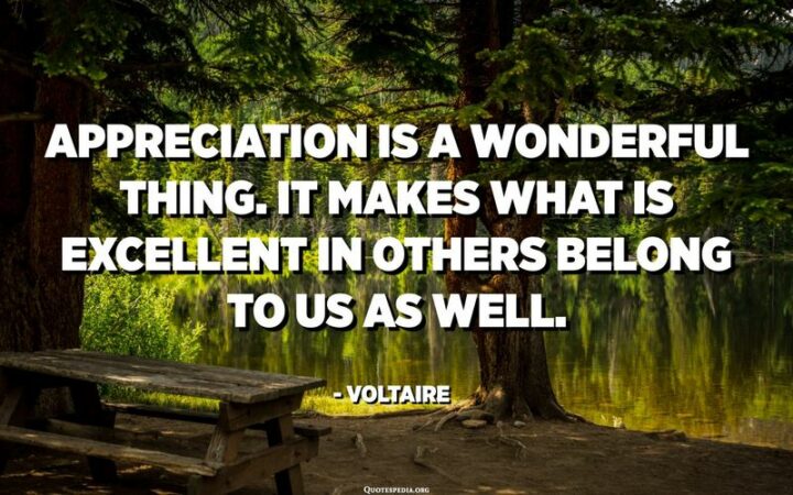 51 Appreciation Quotes - "Appreciation is a wonderful thing. It makes what is excellent in others belong to us as well." - Voltaire