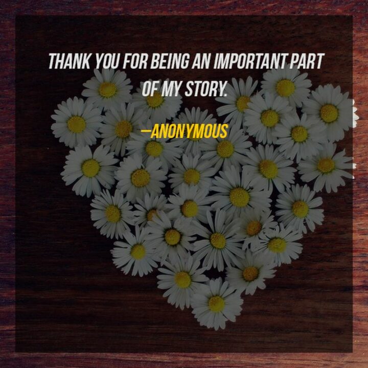 51 Appreciation Quotes - "Thank you for being an important part of my story." - Anonymous