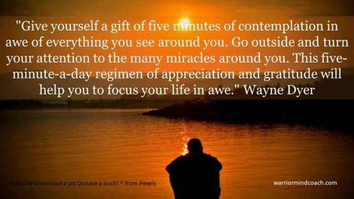 "Give yourself a gift of five minutes of contemplation in awe of everything you see around you. Go outside and turn your attention to the many miracles around you. This five-minute-a-day regimen of appreciation and gratitude will help you to focus your life in awe." - Wayne Dyer
