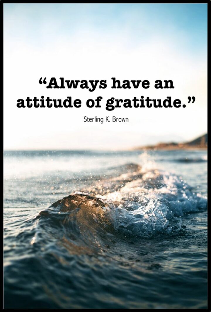 "Always have an attitude of gratitude." - Sterling K. Brown