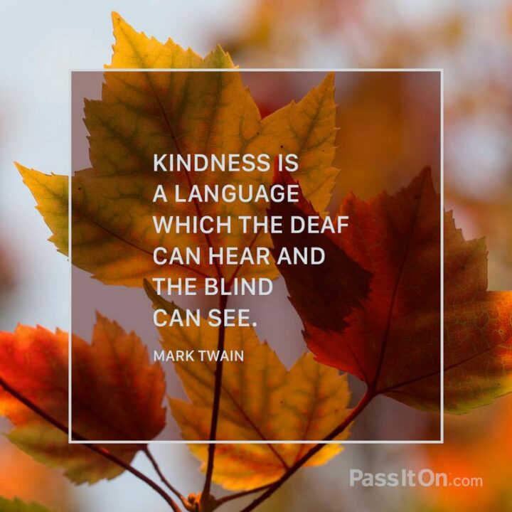 "Kindness is a language which the deaf can hear and the blind can see." - Mark Twain