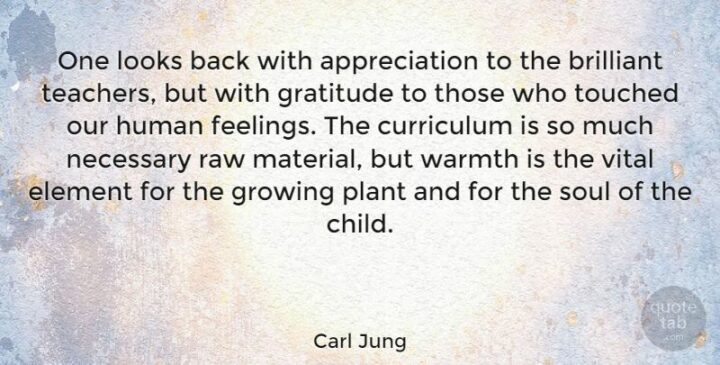 "One looks back with appreciation to the brilliant teachers, but with gratitude to those who touched our human feelings. The curriculum is so much necessary raw material, but warmth is the vital element for the growing plant and for the soul of the child." - Carl Jung