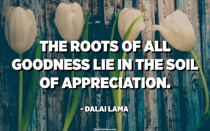 "The roots of all goodness lie in the soil of appreciation for goodness." - Dalai Lama
