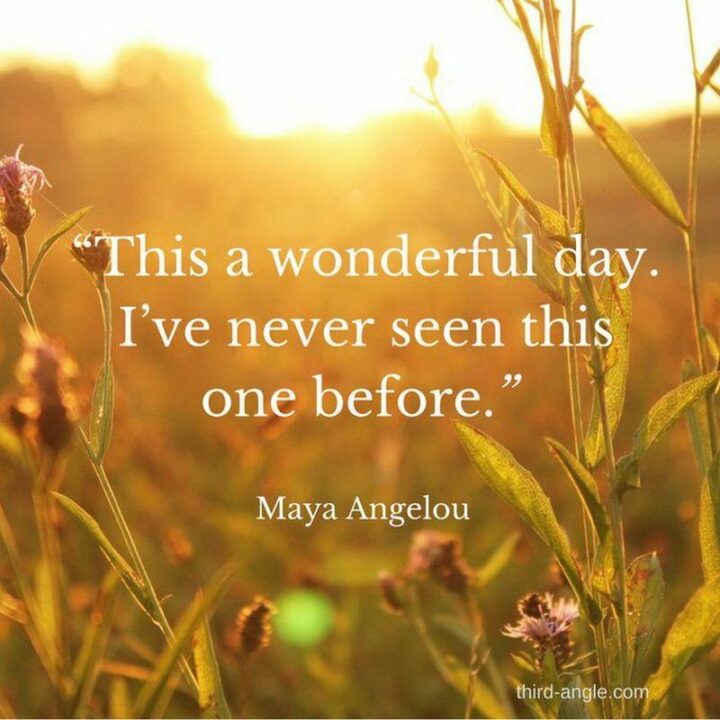 "This is a wonderful day I have never seen this one before." - Maya Angelou