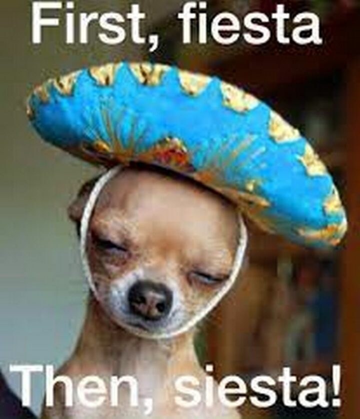 "First, fiesta. Then, siesta."