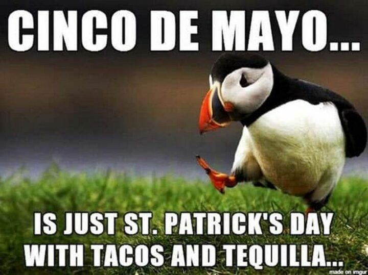 "Cinco de Mayo...Is just St.Patrick's day with tacos and tequila."