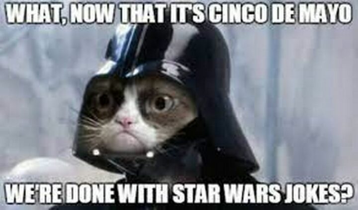 "What, now that it's Cinco de Mayo, we're done with Star Wars jokes?"