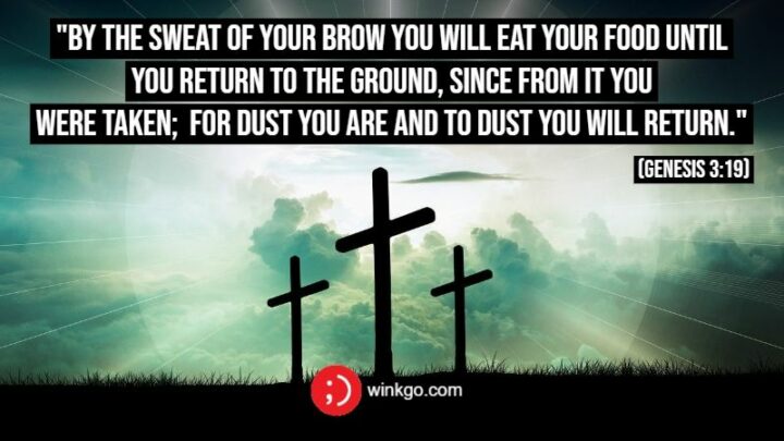"By the sweat of your brow you will eat your food until you return to the ground, since from it you were taken; for dust you are and to dust you will return." (Genesis 3:19)