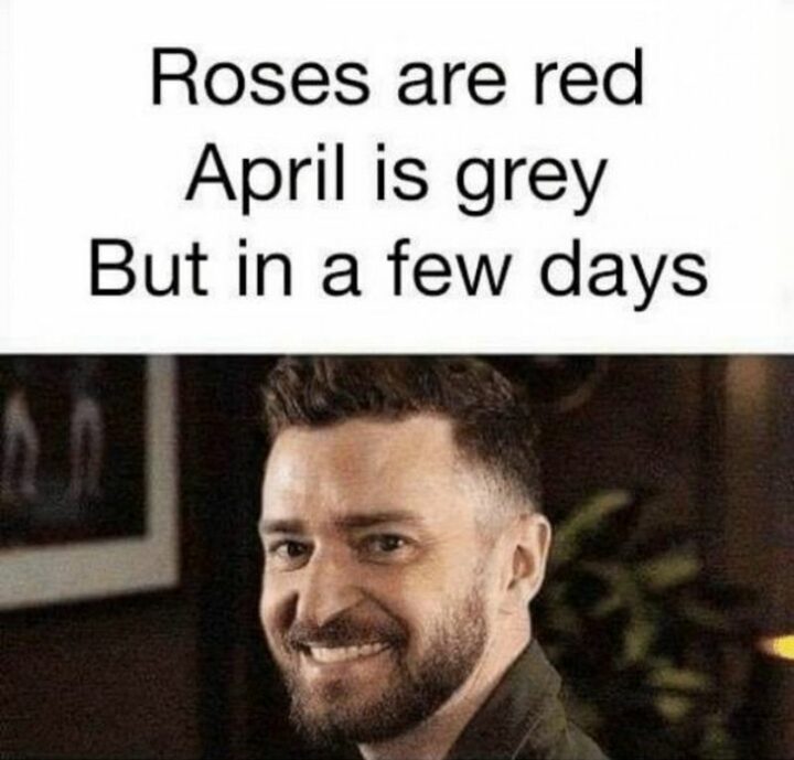 "Roses are red, April is grey but in a few days..."