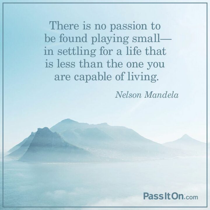 "There is no passion to be found in playing small, in settling for a life that is less than the one you are capable of living." - Nelson Mandela