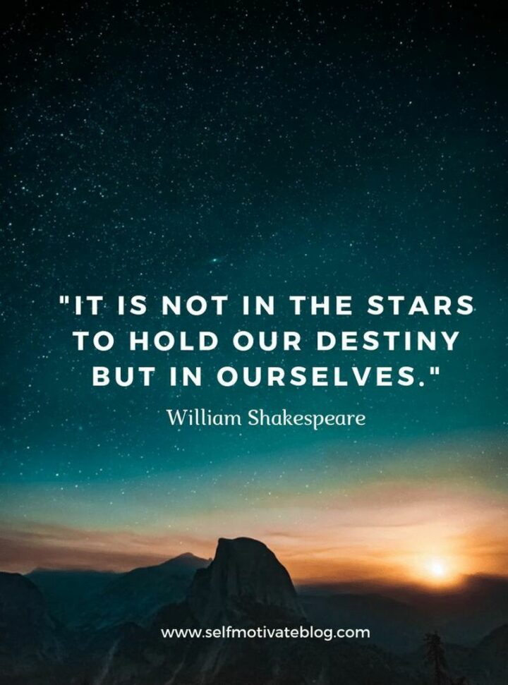 "It is not in the stars to hold our destiny but in ourselves." - William Shakespeare