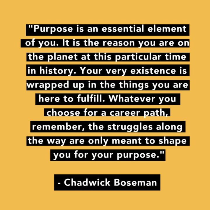 "Purpose is an essential element of you. It is the reason you are on the planet at this particular time in history. Your very existence is wrapped up in the things you are here to fulfill. Whatever you choose for a career path, remember the struggles along the way are only meant to shape you for your purpose." - Chadwick Boseman