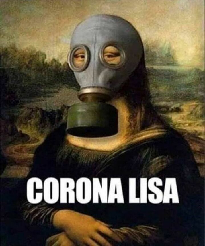 39 Hilarious Memes - "Corona Lisa."