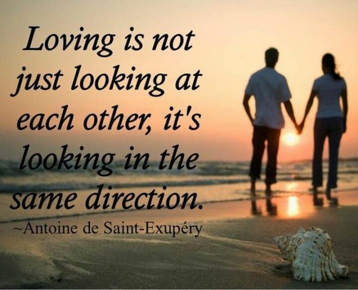 "Loving is not just looking at each other, it's looking in the same direction." - Antoine de Saint-Exupéry