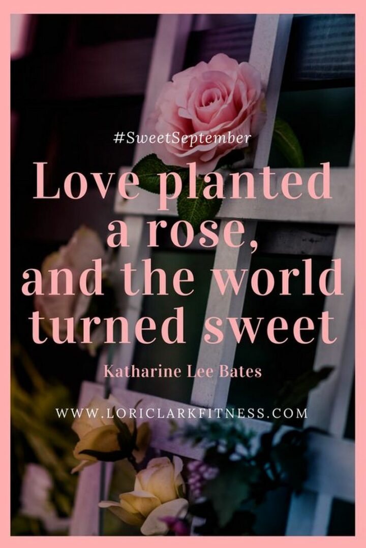"Love planted a rose, and the world turned sweet." - Katharine Lee Bates