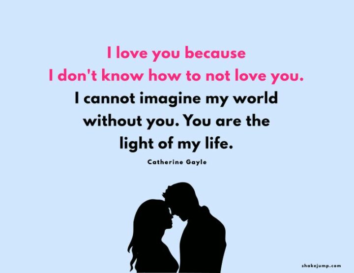 "I love you because I don't know how to not love you. I cannot imagine my world without you. You are the light of my life." - Catherine Gayle