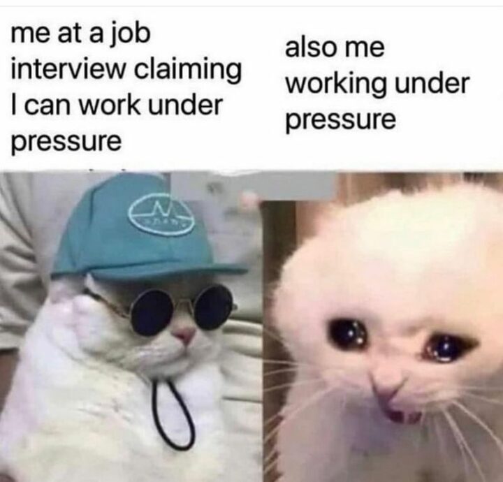 59 Job Interview Memes - "Me at a job interview claiming I can work under pressure. Also, me working under pressure."
