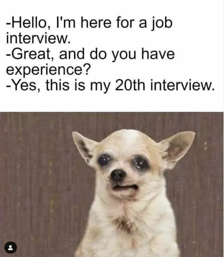 "Hello, I'm here for a job interview. Great, and do you have experience? Yes, this is my 20th interview."