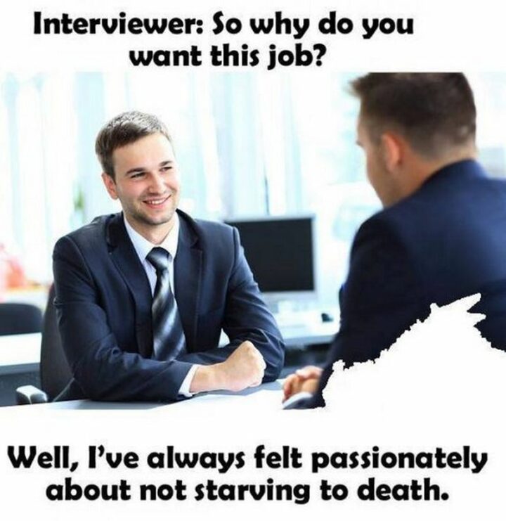 "Interviewer: So why do you want this job? Well, I've always felt passionate about not starving to death."