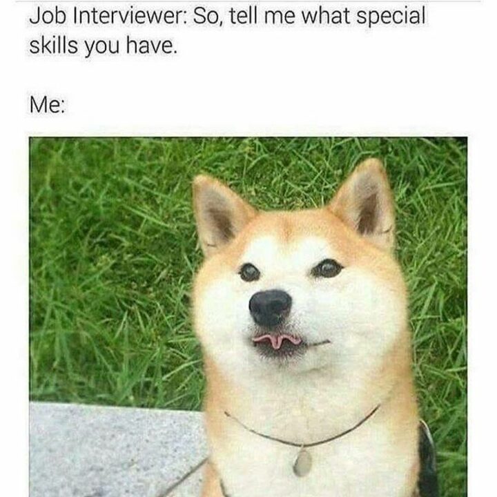 "Job Interviewer: So, tell me what special skills you have. Me:"