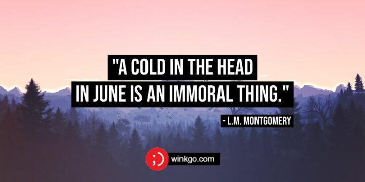 "A cold in the head in June is an immoral thing." - L.M. Montgomery
