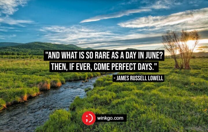 "And what is so rare as a day in June? Then, if ever, come perfect days." - James Russell Lowell