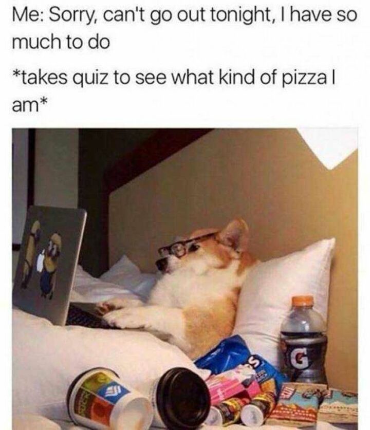 "Me: Sorry, can't go out tonight, I have so much to do *takes a quiz to see what kind of pizza I am*."