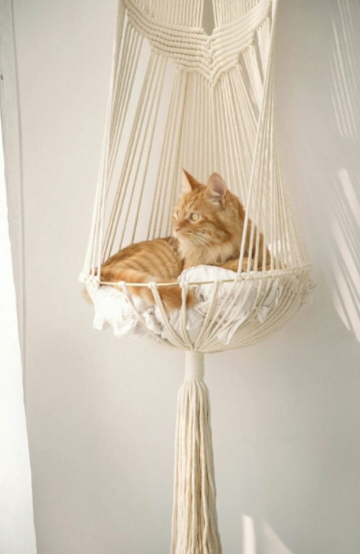 Cats love lounging in their own macrame cat hammock!