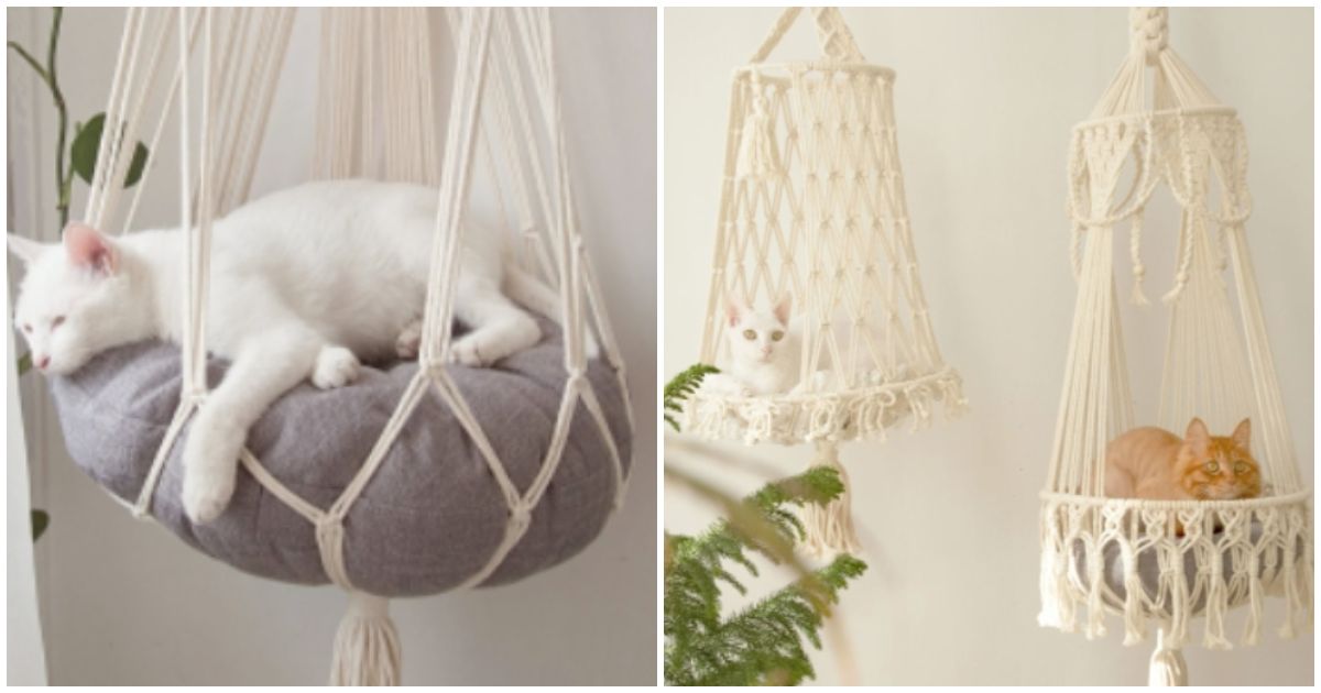 Hanging Macrame Cat Hammock Reinvents What A Bed Should Be - Macrame Cat Bed Diy