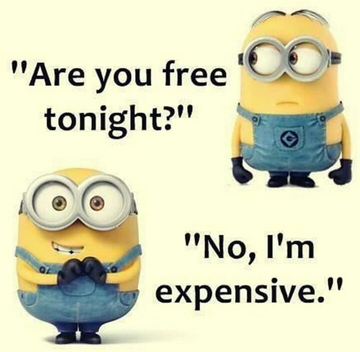 31 Funny Minion Memes - "Are you free tonight? No, I'm expensive."