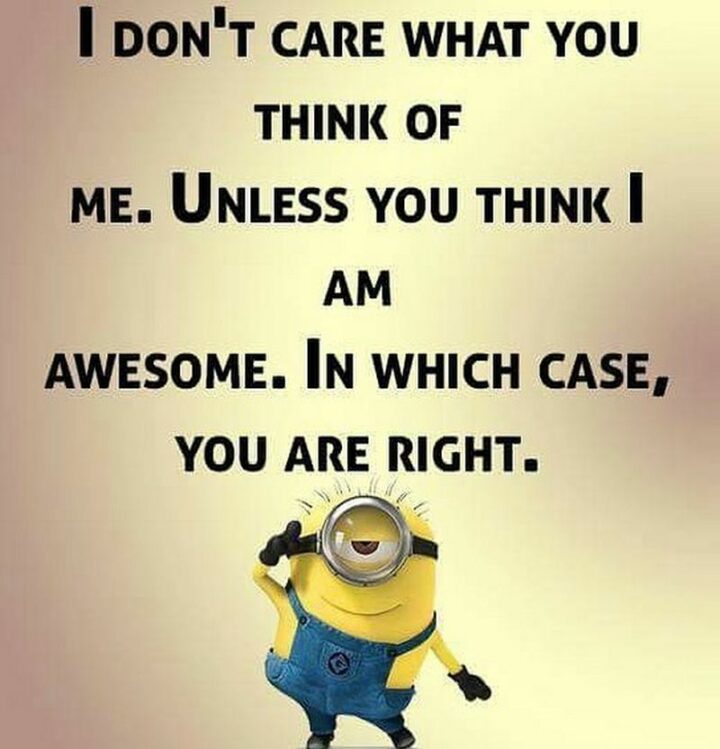 31 Funny Minion Memes - "I don't care what you think of me. Unless you think I am awesome. In which case, you are right."