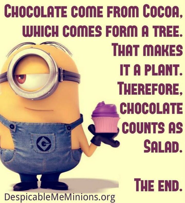 31 Funny Minion Memes - "Chocolate comes from cocoa, which comes from a tree. That makes it a plant. Therefore, chocolate counts as salad. The end."