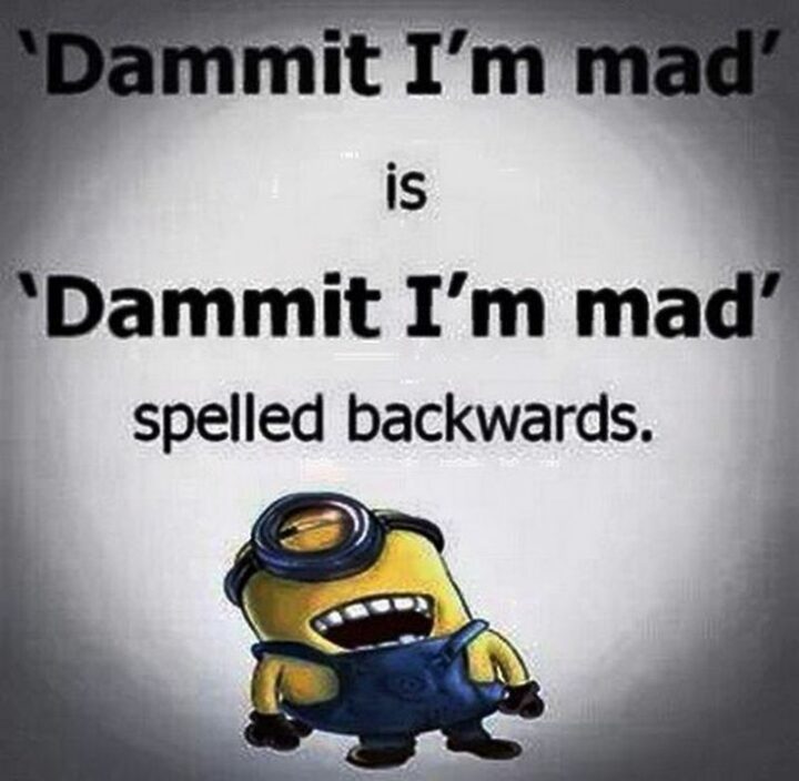 31 Funny Minion Memes - "'Dammit I'm mad' is 'Dammit I'm mad' spelled backward."