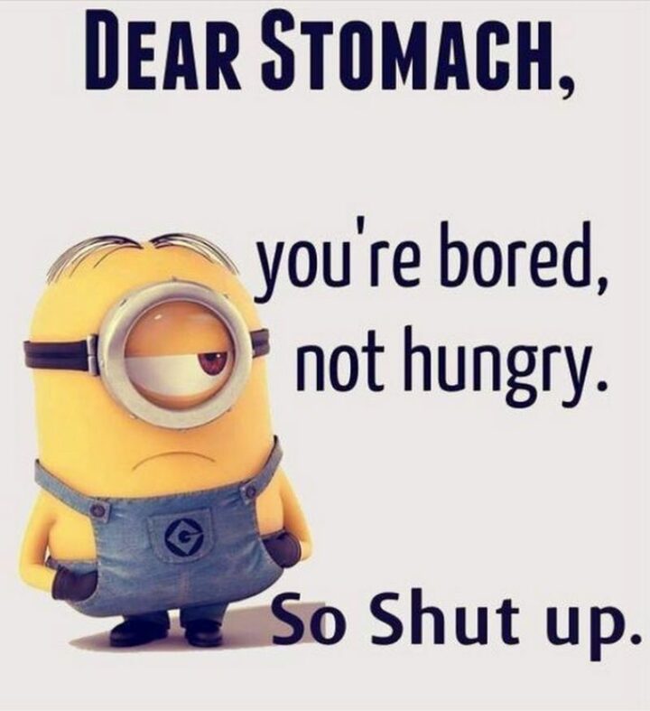 31 Funny Minion Memes - "Dear stomach, you're bored, not hungry. So shut up."