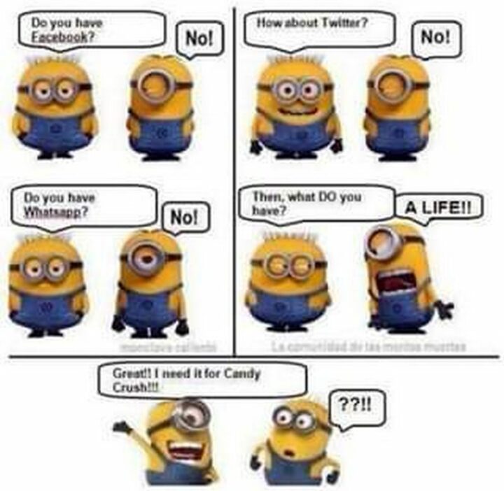 31 Funny Minion Memes - "Do you have Facebook? No! How about Twitter? No! Do you have Whatsapp? No! Then, what do you have? A life!! Great! I need it for Candy Crush!! ??!!"