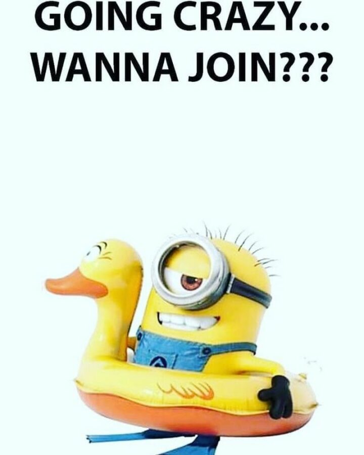 31 Funny Minion Memes - "Going crazy...Wanna join???"