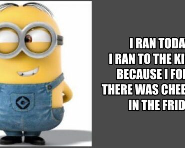 31 Funny Minion Memes Fans Will Love