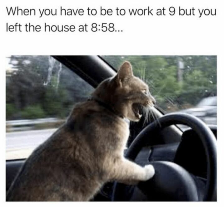 55 Relatable Memes - "When you have to be at work at 9 but you left the house at 8:58..."