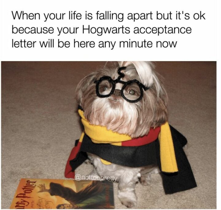 "When your life is falling apart but it's ok because your Hogwarts acceptance letter will be here any minute now."